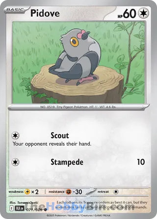 Pidove Black Bolt English Common #071/086