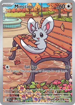 Minccino Black Bolt English Illustration Rare #152/086