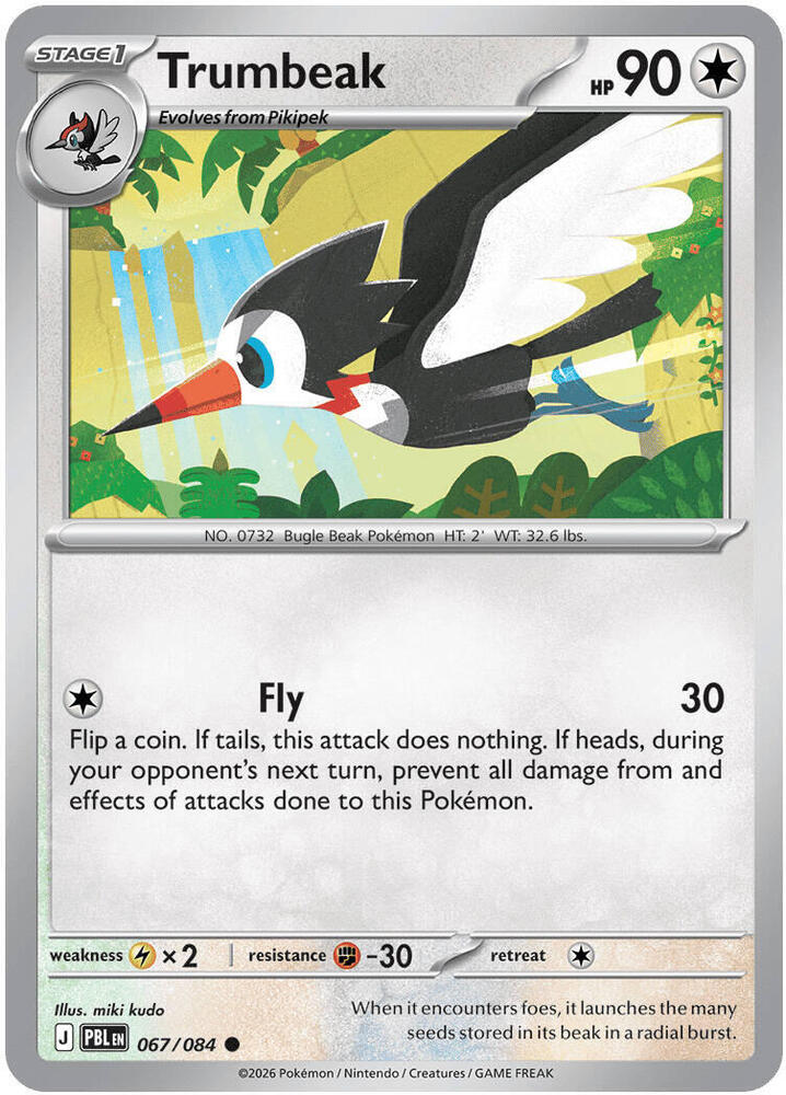 0067 Trumbeak Common Pitch Black