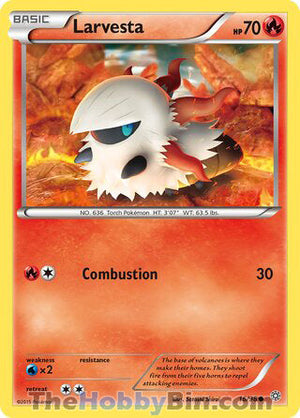 0016 Larvesta Common Ancient Origins