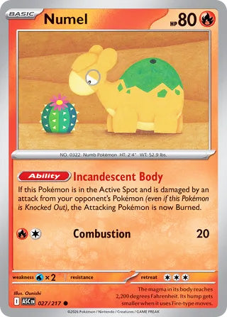 Numel #27/217 Common - Ascended Heroes Pokemon card