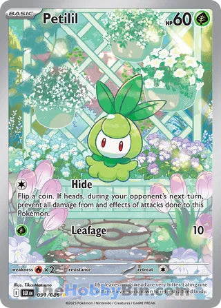 Petilil #091/086 Illustration Rare - Black Bolt Pokemon card