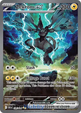Zekrom ex Black Bolt English Special Illustration Rare #166/086