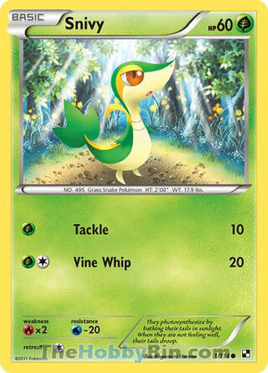 0001 Snivy Common Black and White