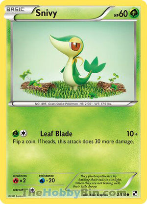 0002 Snivy Common Black and White