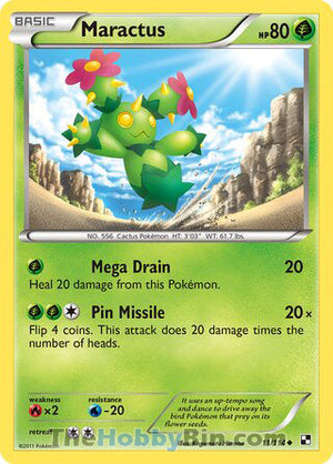 0011 Maractus Uncommon Black and White