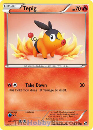 0016 Tepig Common Black and White