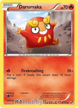 0023 Darumaka Common Black and White