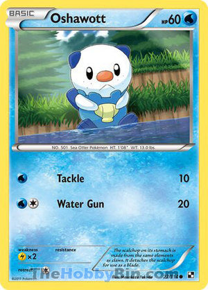 0027 Oshawott Common Black and White