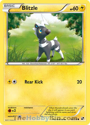 0040 Blitzle Common Black and White