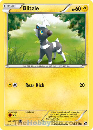 Blitzle #40/114 Common - Black and White Pokemon card