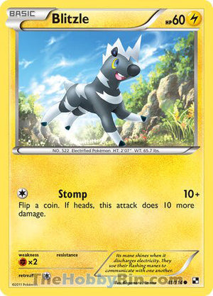 0041 Blitzle Common Black and White