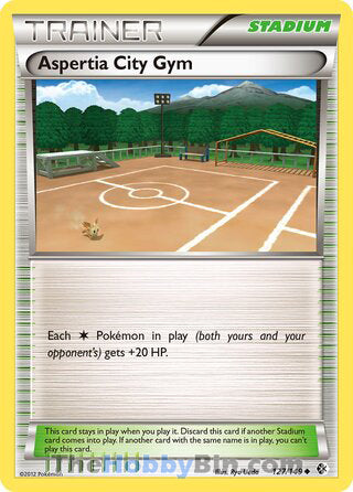 0127 Aspertia City Gym Uncommon Boundaries Crossed