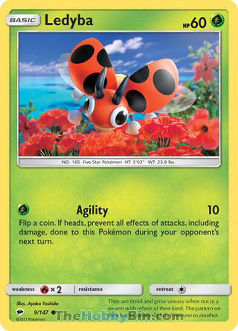 0009 Ledyba Common Burning Shadows