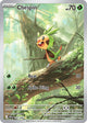 Chespin IR #087