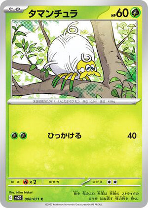 0008 Tarountula Common Clay Burst