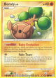 Bonsly C #71