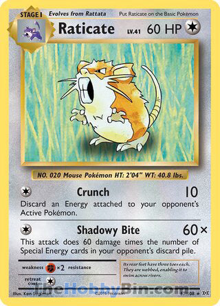 Raticate #67/108 Rare - Evolutions Pokemon card