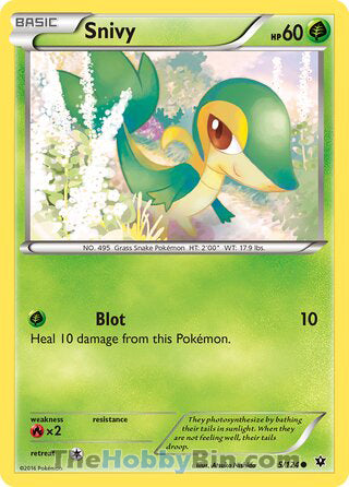 Snivy #5/124 Common - Fates Collide Pokemon card