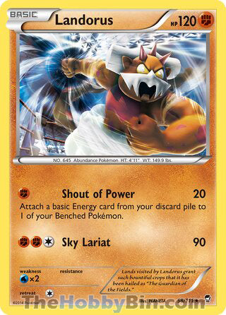 0058 Landorus Holo Rare Furious Fists