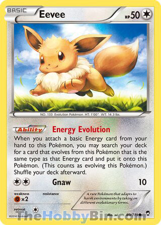 Eevee Furious Fists Common #80/111