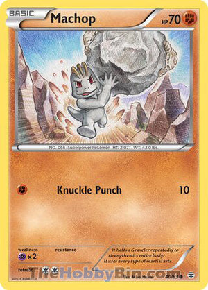 0040 Machop Common Generations