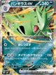 Tyranitar ex Card #078