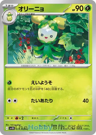 Dolliv #11 Common - The Glory of Team Rocket Japanese Pokemon card