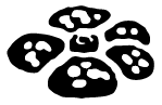 Jungle set symbol