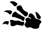 Fossil set symbol