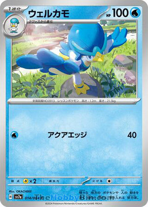 0014 Quaxwell Common Paradise Dragona