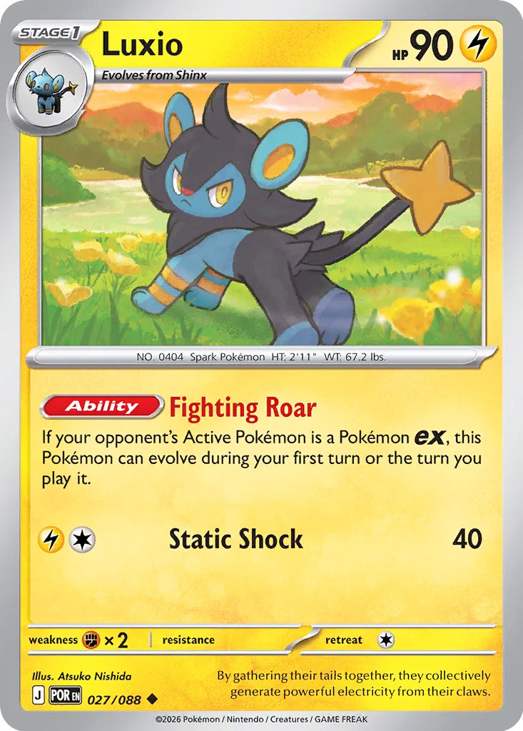 0027 Luxio Uncommon Perfect Order