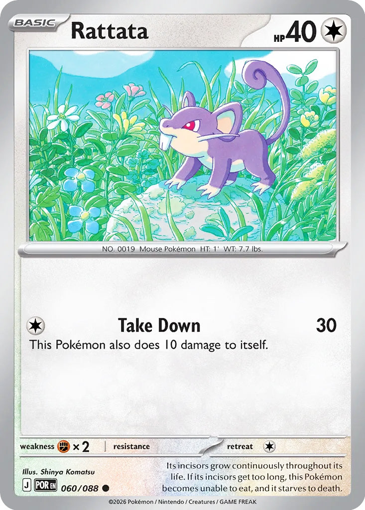 0060 Rattata Common Perfect Order