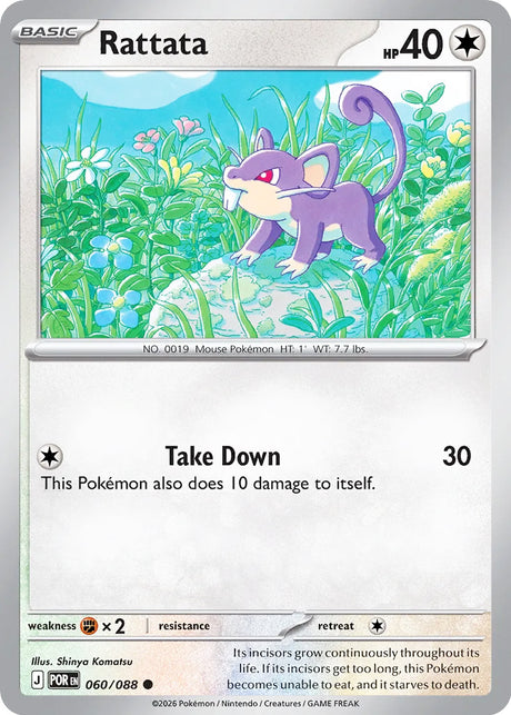 0060 Rattata Common Perfect Order