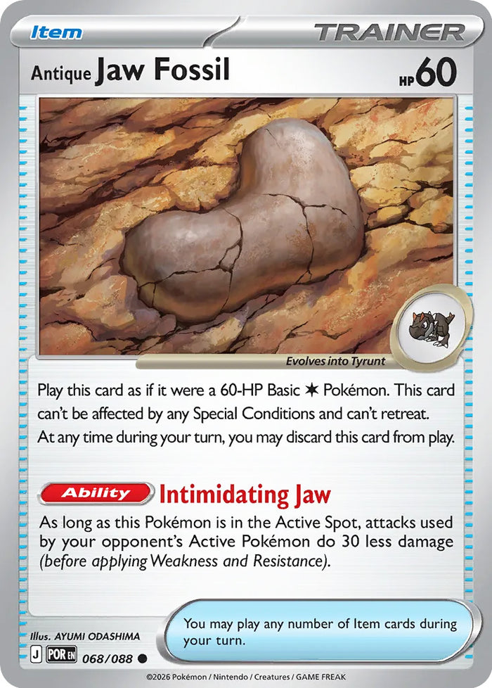 0068 Antique Jaw Fossil Common Perfect Order