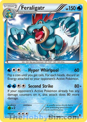 0017 Feraligatr Holo Rare Phantom Forces