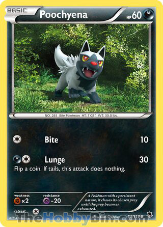Poochyena #53/119 Common - Phantom Forces Pokemon card
