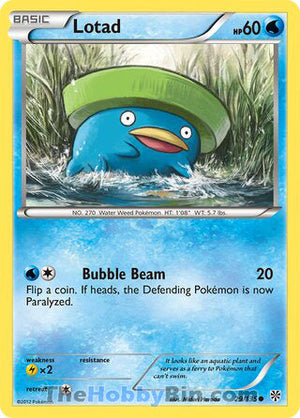0029 Lotad Common Plasma Storm
