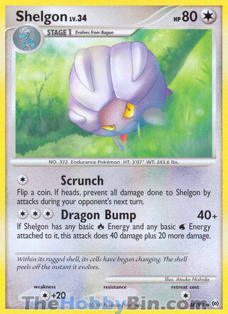 0048 Shelgon Uncommon Arceus