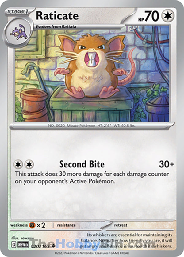 Raticate #20/165 Uncommon - Pokemon 151 Pokemon card