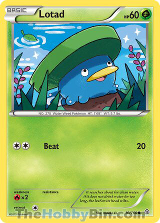 Lotad #10/160 Common - Primal Clash Pokemon card
