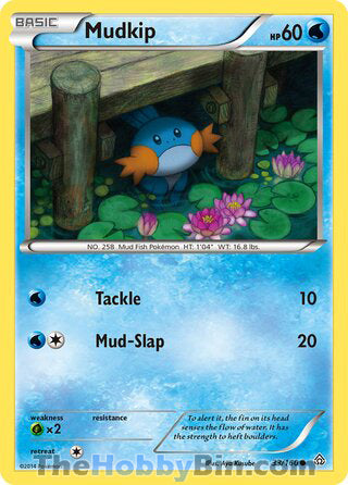 Mudkip Primal Clash Common #33/160