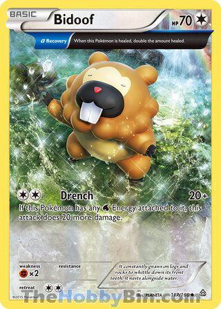 Bidoof #117/160 Uncommon - Primal Clash Pokemon card