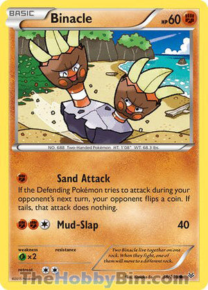 0038 Binacle Common Roaring Skies