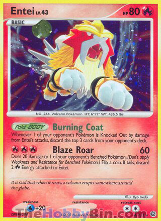 0004 Entei Holo Rare Secret Wonders