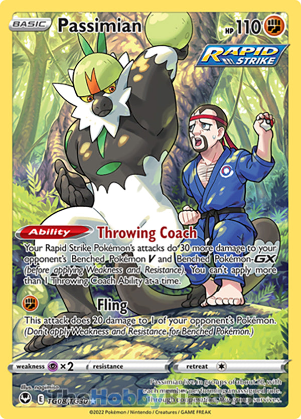 Passimian #TG08/TG30 Trainer Gallery Holo - Silver Tempest Pokemon card