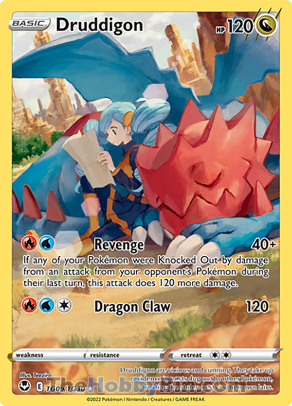 Druddigon #TG09/TG30 Trainer Gallery Holo - Silver Tempest Pokemon card