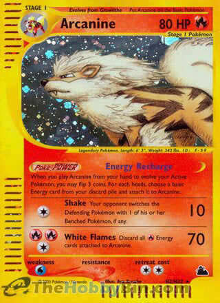 Arcanine Skyridge Holo Rare #H02/H32