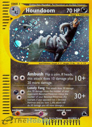 0000H011 Houndoom Holo Rare Skyridge
