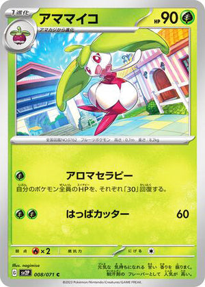 0008 Steenee Common Snow Hazard